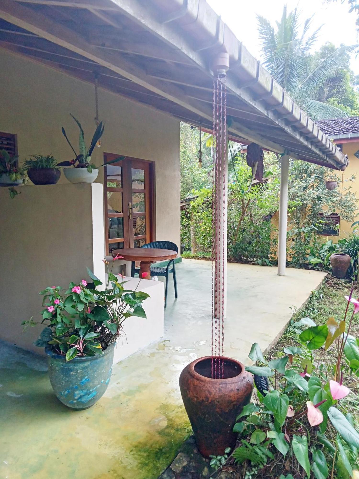 Natural Mystic Sanctuary เดนิยายา ภายนอก รูปภาพ