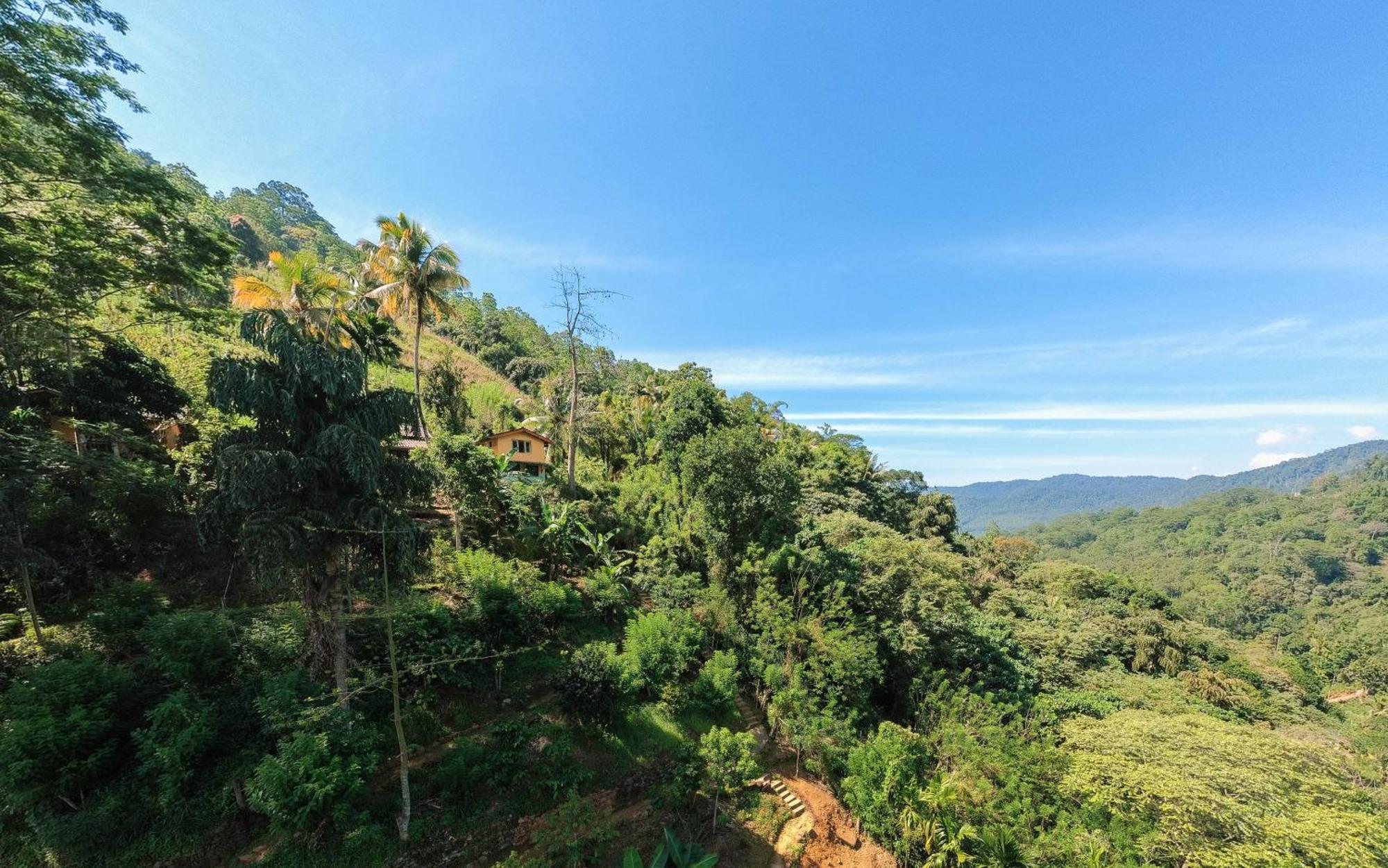 Natural Mystic Sanctuary เดนิยายา ภายนอก รูปภาพ