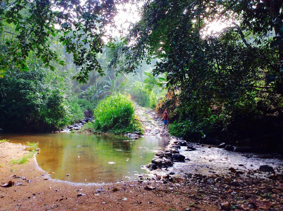 Natural Mystic Sanctuary เดนิยายา ภายนอก รูปภาพ