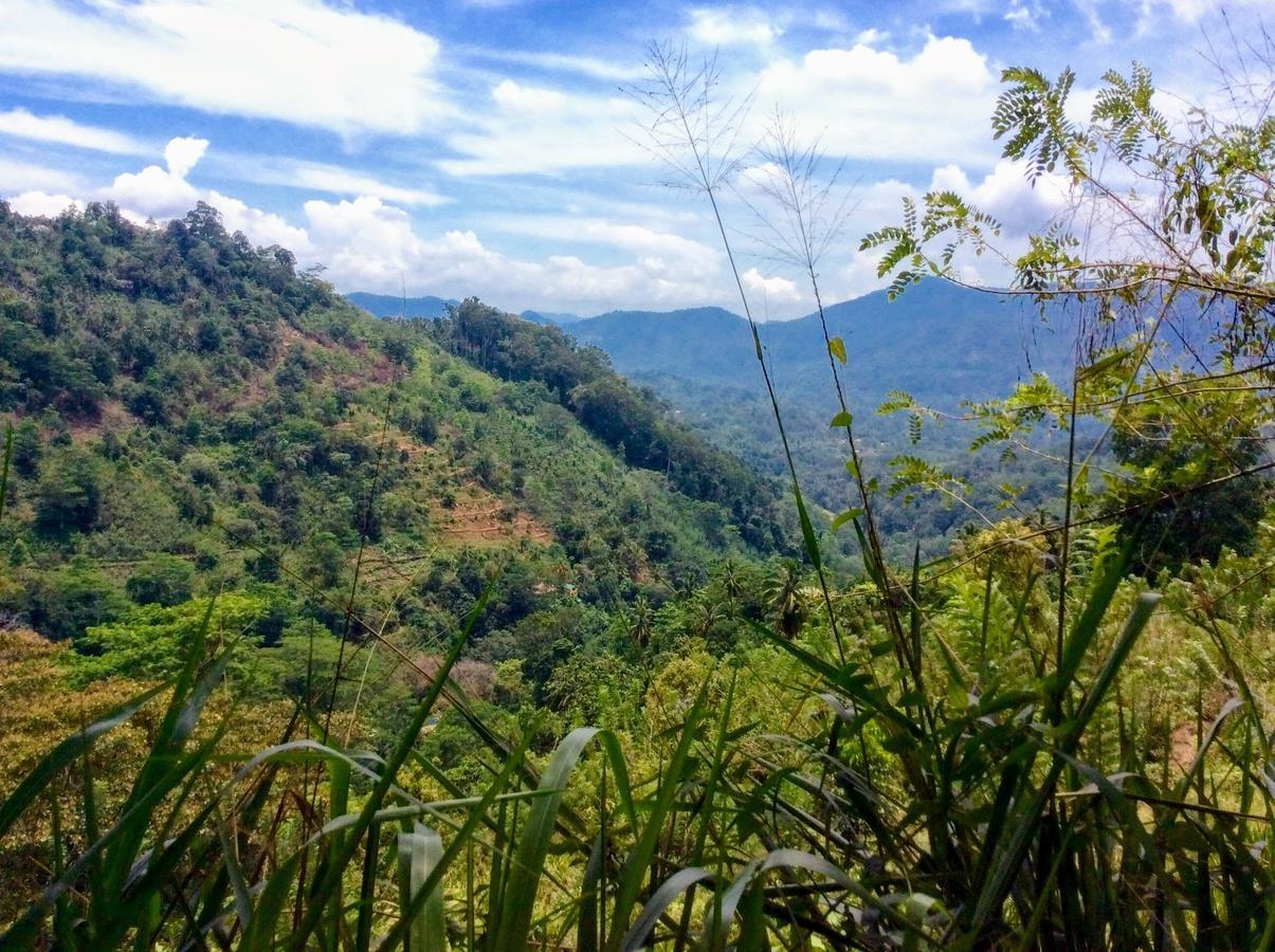 Natural Mystic Sanctuary เดนิยายา ภายนอก รูปภาพ