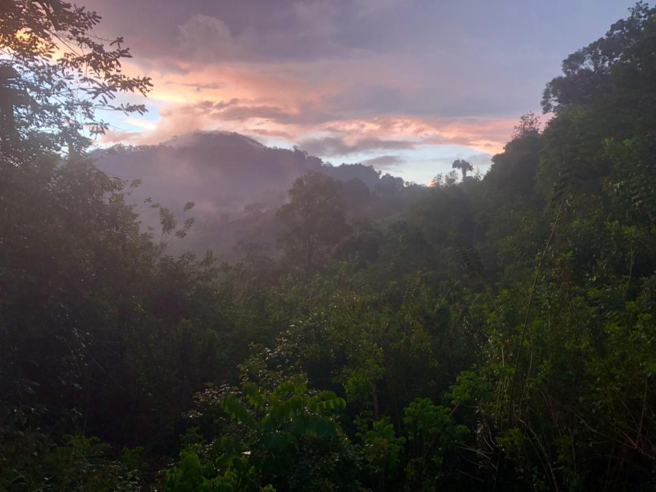 Natural Mystic Sanctuary เดนิยายา ภายนอก รูปภาพ