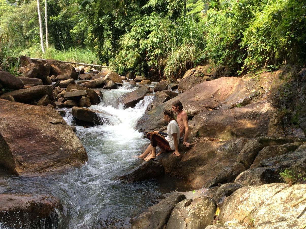 Natural Mystic Sanctuary เดนิยายา ภายนอก รูปภาพ