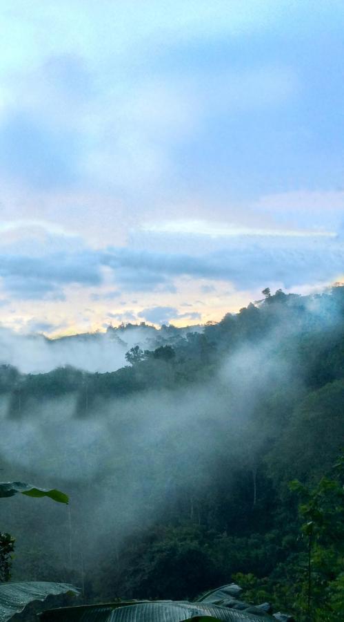 Natural Mystic Sanctuary เดนิยายา ภายนอก รูปภาพ